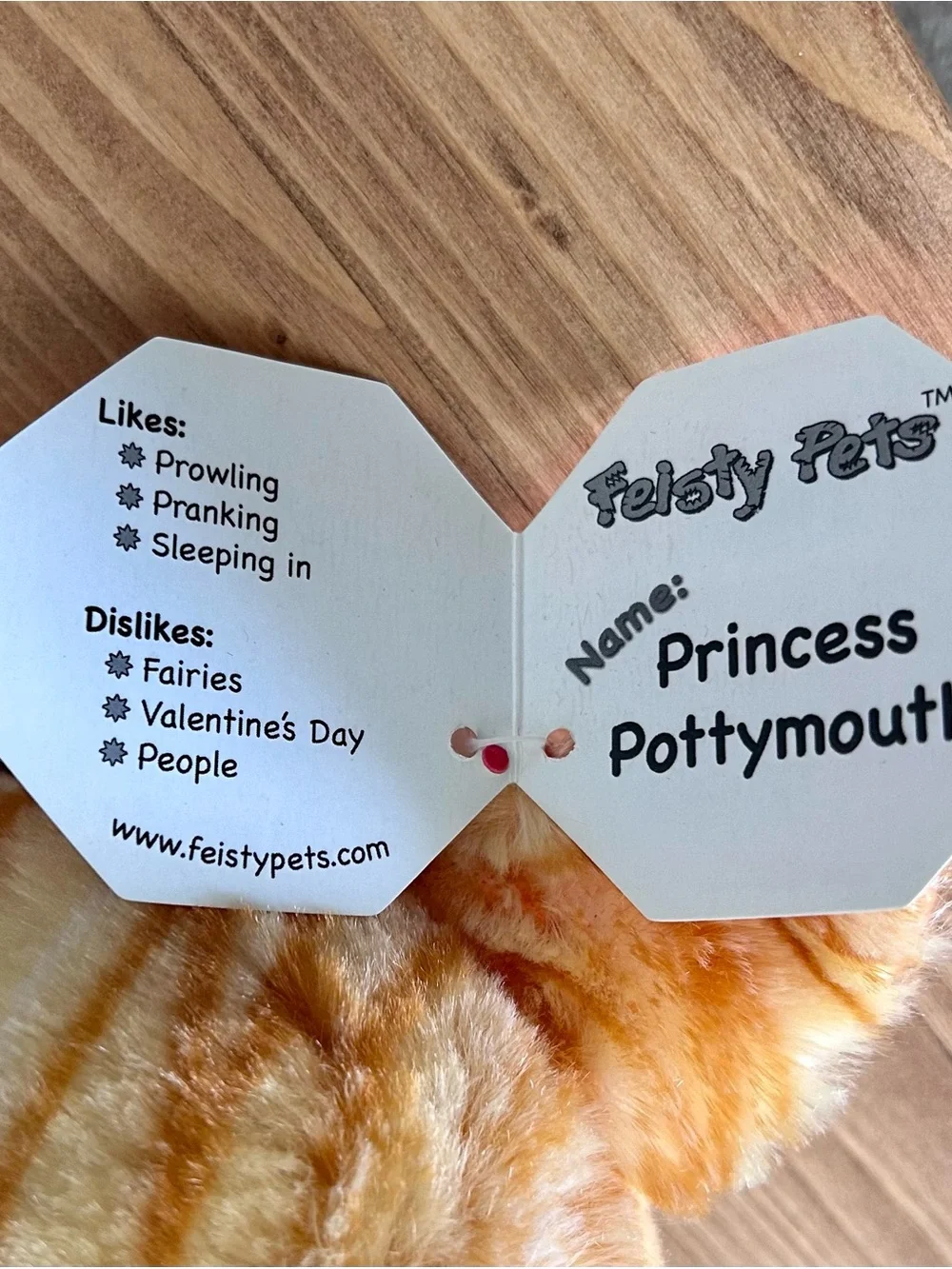 Feisty Pets “Princess Potty-mouth” Orange Tabby Cat